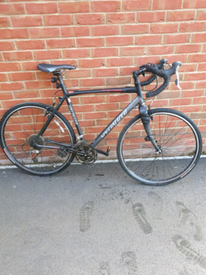 raleigh talus 3.5